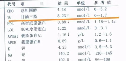 甘油三酯（Triglycerides）的重要性和欧洲研究