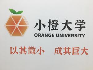 浙江省教育信息网官网