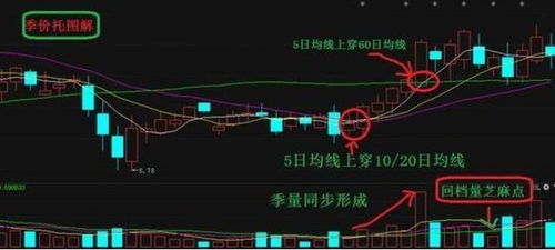 超级牛散章建平遭顶格处罚，股市风云变幻，合规之路何去何从