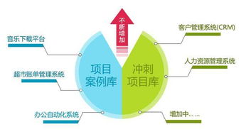 河北农业大学教务系统的使用指南与教学管理优化