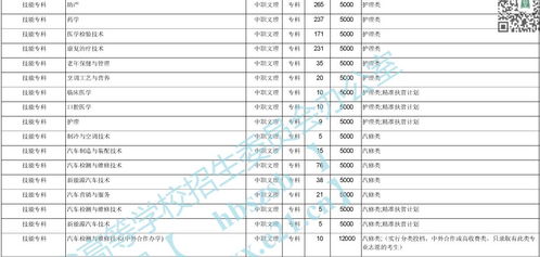 黄冈职业技术学院分数线详解及志愿填报建议