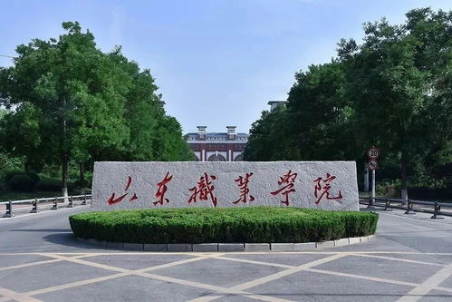 济南铁道职业学院，培养高素质铁路人才的摇篮