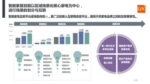 保险学专业的全面解析与职业发展路径