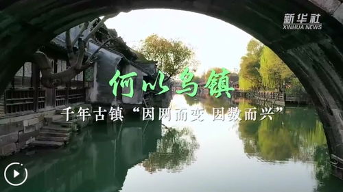 千年古镇因网而变、因数而兴