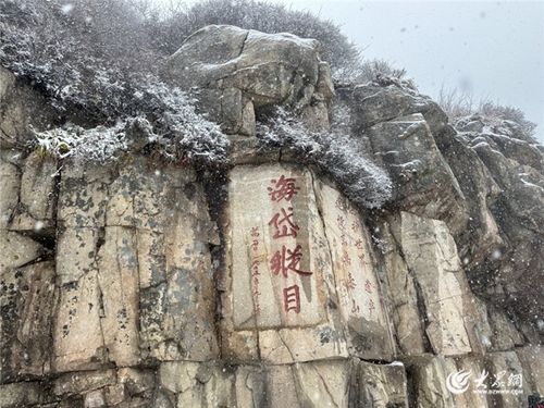 泰山暴雪，探秘与解析