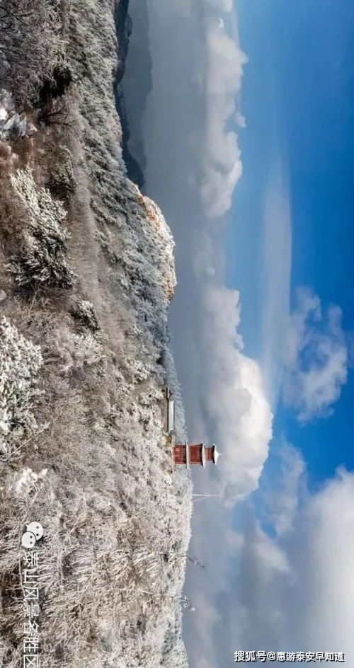 泰山暴雪，探秘与解析