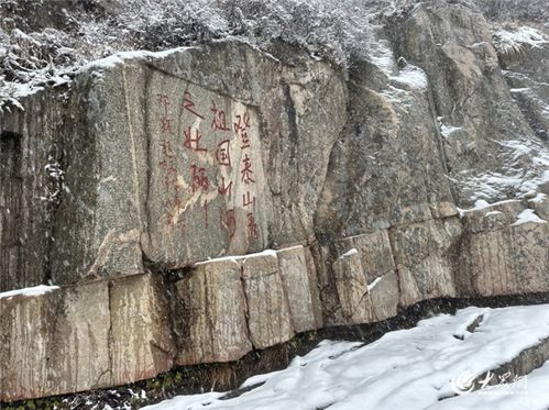 泰山暴雪，探秘与解析