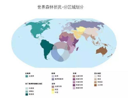 中国脱贫攻坚战的成功，世界意义与未来展望