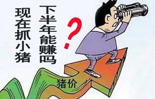 金饰价格骤降，消费者能否抓住机遇？