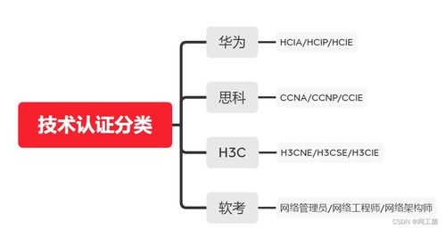 全面解读与深入分析