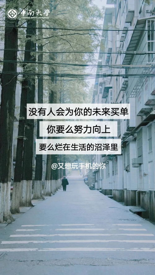 助你顺利迈进理想学府