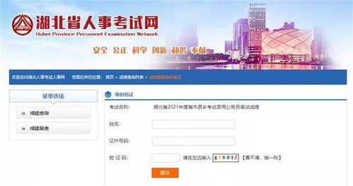 湖北公务员成绩查询全攻略，轻松掌握每一步