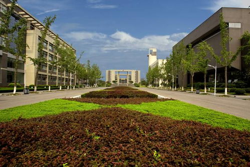 南京森林警官学院，培养新时代绿色卫士的摇篮