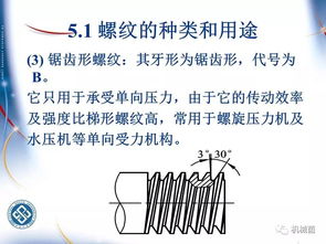 从基础到前沿的全面解析