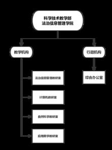 政策导向与职能概述