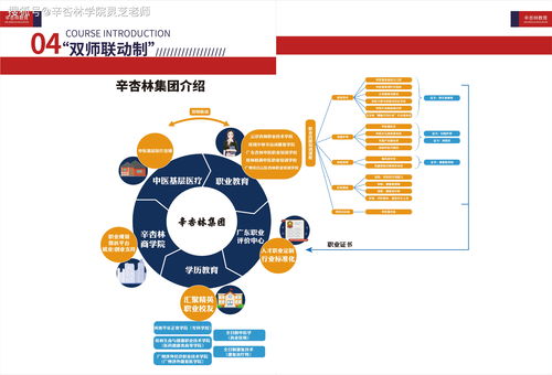 中学生如何学好英语，实用技巧与有效策略