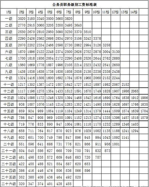 公务员职级工资表，全面解析与职业规划指南